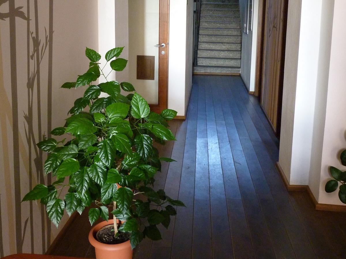 Hotel Art Písek Eksteriør billede