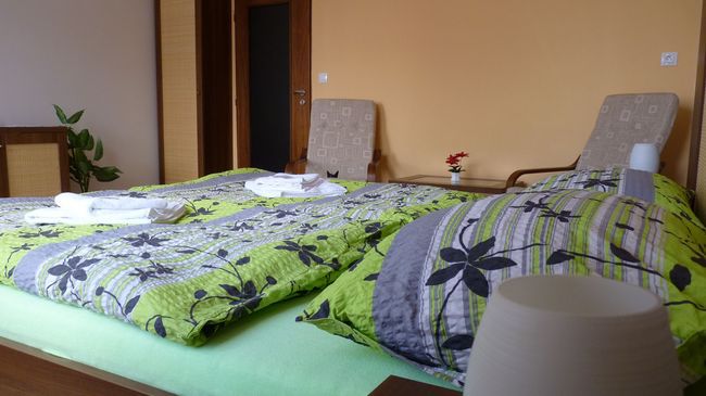 Hotel Art Písek Værelse billede
